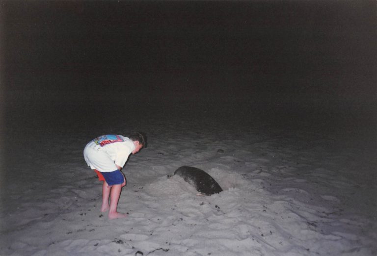 Doug Malek, looking at a sea turtle in Palm Beach, Florida